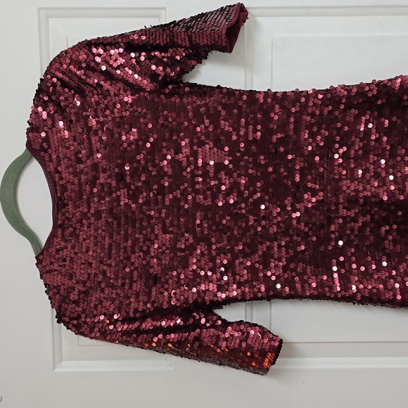 BCBGMAXAZRIA / Revolve Marta Sequin Dress in Port Combo - Picture 7 of 13